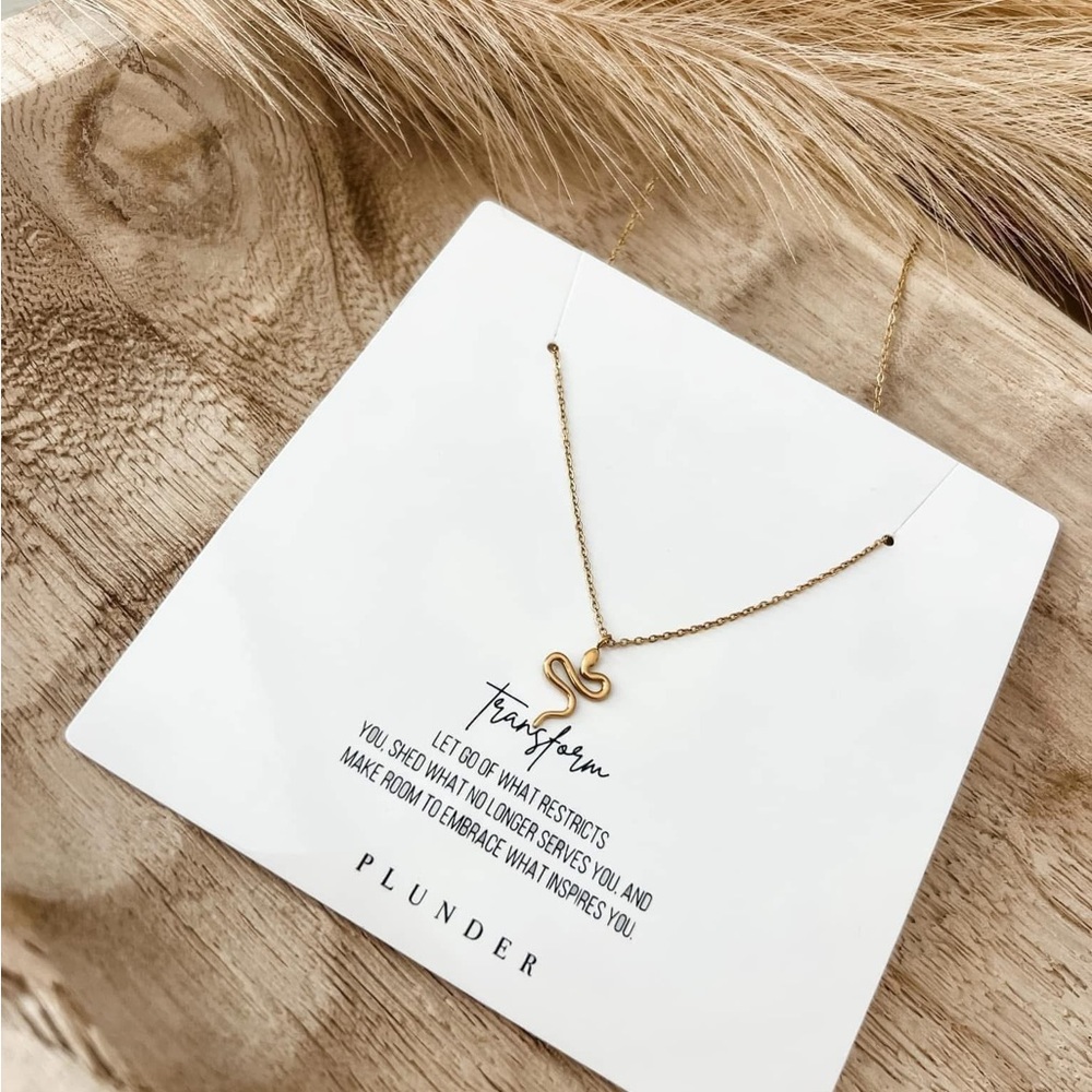 Plunder Gold Transform Necklace 🐍